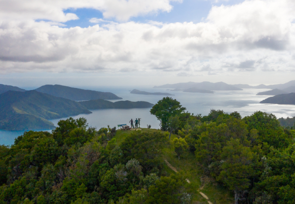 Queen Charlotte Track Day Walk with Cougar Line Cruise Transfers - Walk Punga Cove Resort to Eatwells Lookout - Options for Adult or Child