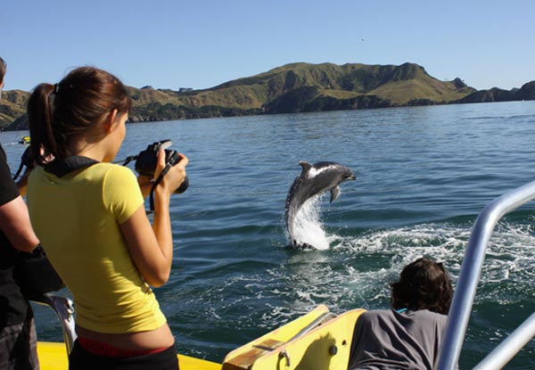 Discover the Bay - Hole in the Rock Cruise incl. BBQ Lunch & Island Stop-Over with Options for Child or Two Adults