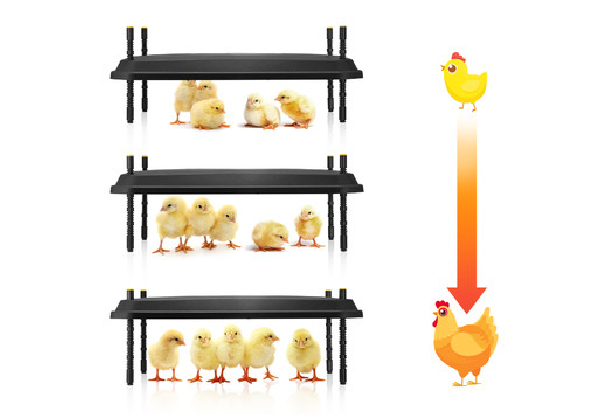 Chicken Brooder Heating Plate - Two Sizes Available