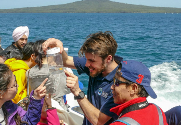 Adult Auckland Whale & Dolphin Safari Ticket - Options a Child Ticket & Weekday or Weekend Sails