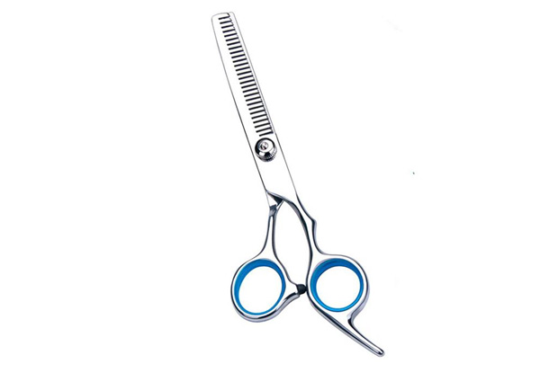 Six-Piece Hairdressing Scissor Set with Free Delivery