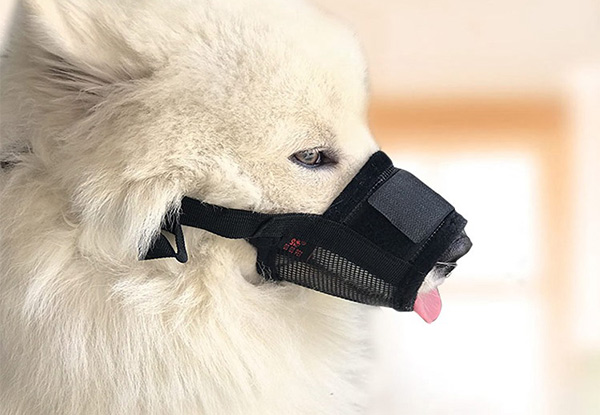 Adjustable Mesh Dog Muzzle - Five Sizes Available