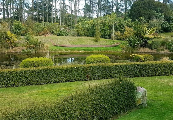 Adult, Child or Family Wairakei Terraces Walkway Entry