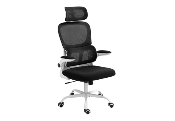 Black & White Ergonomic Mesh Office Chair with Lumbar Support