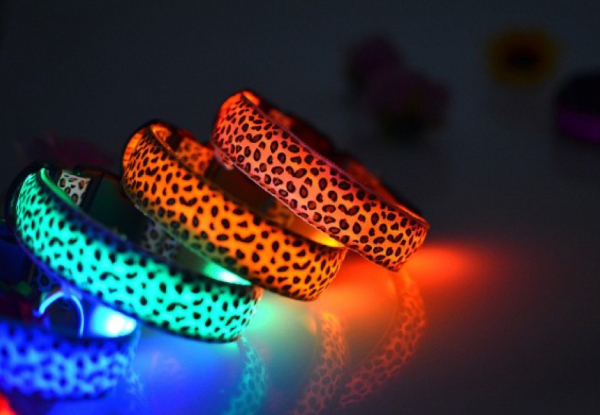 LED Pet Collar - Six Colours & Three Sizes Available with Free Delivery