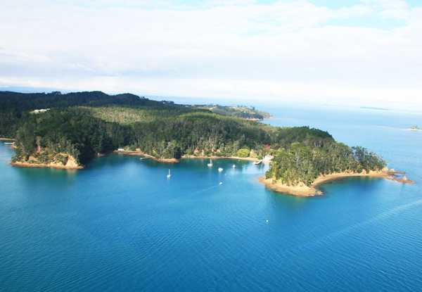 Return Pass on the Kawau Royal Mail Run Super Cruise – Options for a Child, an Adult & a BBQ Lunch Onboard