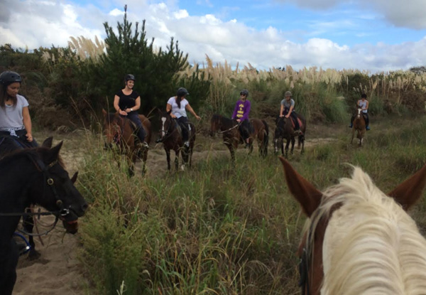 One-Hour Sundown Beach Horse Ride for Two People - Option for Four People