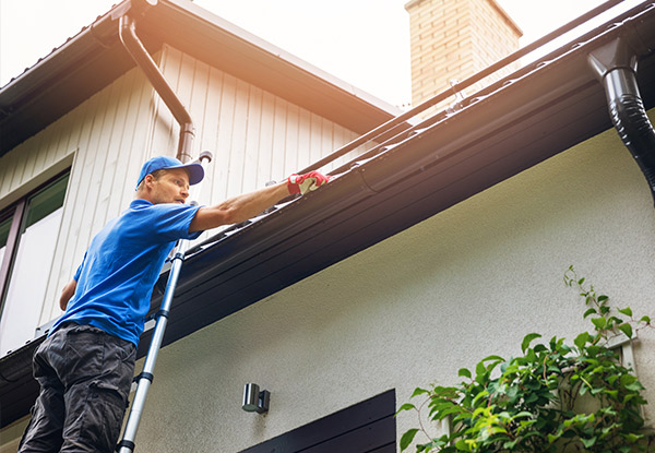 Gutter Clean for a Three-Bedroom Home incl. Roof inspection - Options for up to a Five Bedroom Home