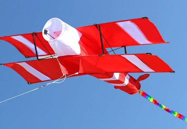 3D Plane Kite