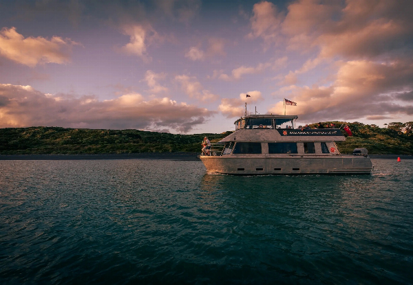 90-Minute Raglan Sunset Harbour Cruise - $78.91 per Adult — photo 10