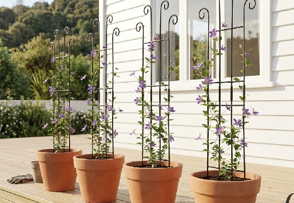 Four-Piece Metal Garden Trellis for Climbing Plants