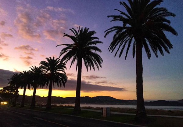 One-Night Whitianga Getaway for Two People in an En-Suite Queen Room incl. Discounts on Local Eatery Places & Boat Activities - Options for Two or Five-Nights Stay, Three People or a Family of Four, Twin Room or Family Unit