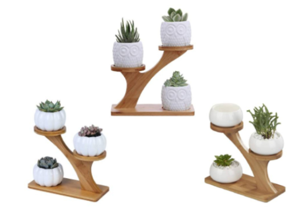 Three Pots with Three-Tier Bamboo Stand - Three Styles Available