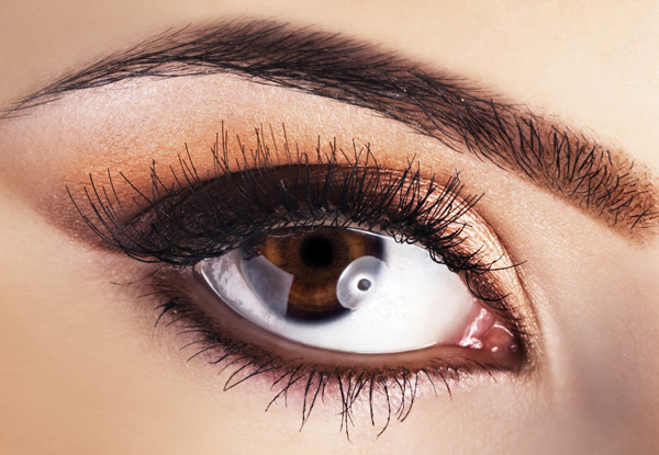 $22 for an Eyebrow Shape, Tint & An Eyelash Tint (value up to $38)