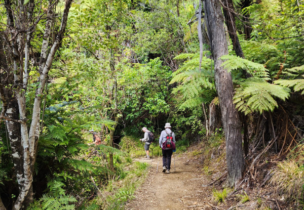 Queen Charlotte Track Day Walk with Cougar Line Cruise Transfers - Walk Resolution Bay to Furneaux Lodge - Options for Adult or Child
