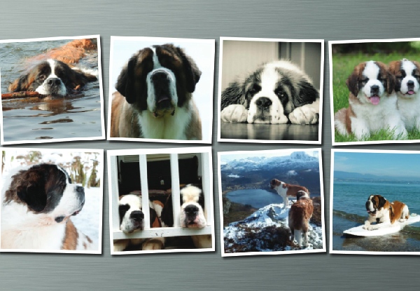 Eight Personalised Photo Magnets - Additional Delivery Charges Apply