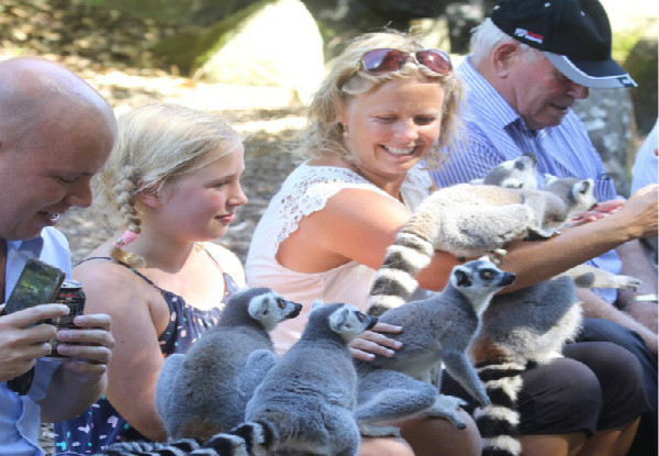 Booked Zoo Encounter Experience for Five-People - Option to incl. Five-Person General Admission