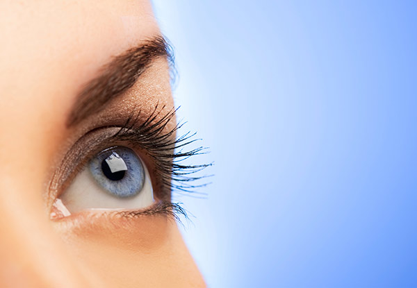 $25 for an Eye Trio incl. Eyebrow Shape, Eyebrow Tint & Eyelash Tint (value up to $40)