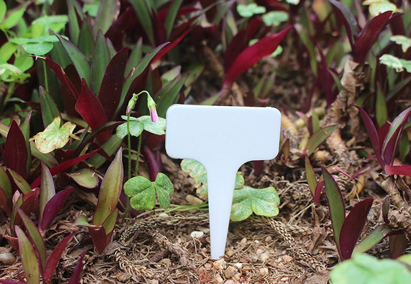 300 T-Type Reusable Plastic Garden Labels
