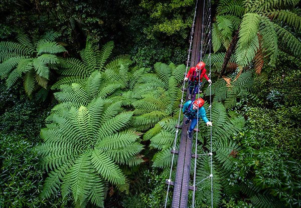 Three-Hour Original Rotorua Canopy Tour & GoPro Footage Combo for an Adult - Options for a Child Available