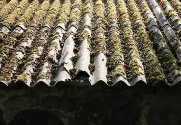 Moss, Mould & Lichen Roof Treatment Package