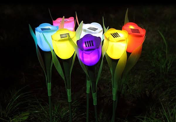 Four-Pack of Tulip Solar Powered LED Lights