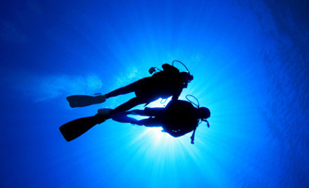 $25 for a One-Hour Scuba Diving Introductory Course incl. Equipment