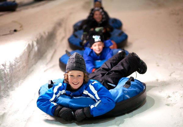 Day Pass Combo incl. Rental Equipment or One-Hour of Snow Tubing - Only 20 Available of Each