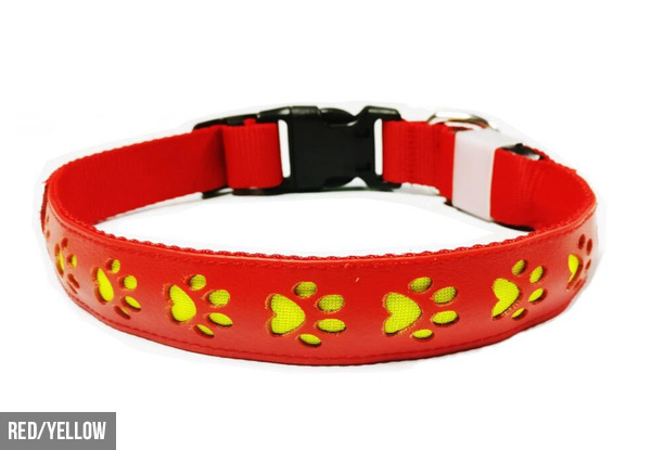 LED Paw Design Dog Collar - Three Colours & Two Sizes Available
