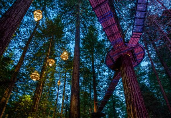 Redwoods Adventure Combo Experience incl. Fast Pass Entry to Redwoods Nightlights, Guided Altitude Tour & Daytime Treewalk Entry - Options for Adult or Child