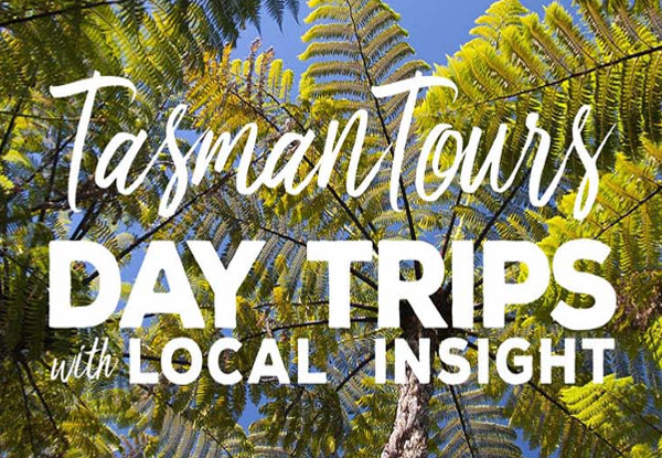 Four to Five Hour Tasman Tours Wine Tour with Wine Tasters