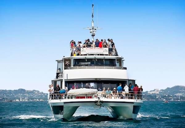 2.5-Hour Summer Session Harbour Cruise incl. Complimentary Alcoholic Beverage, Hot & Cold Platters - Valid 22nd November 2023 & 24th January 2024 Only