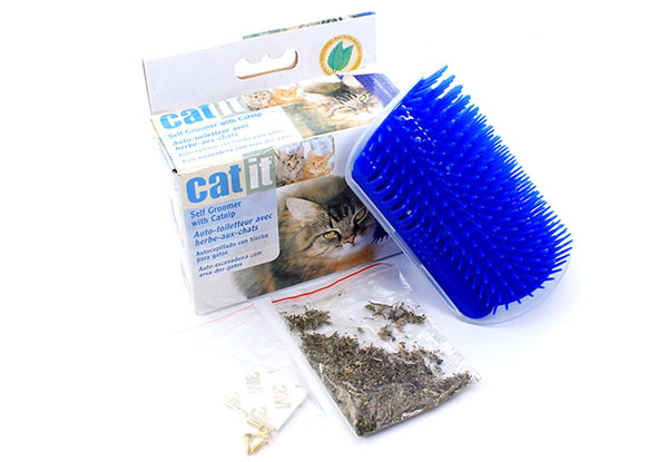 Catnip Self-Grooming Cat Brush - Option for Two with Free Delivery