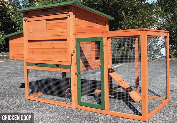 Deluxe Backyard Chicken Coop - Option for a Rabbit Coop Available