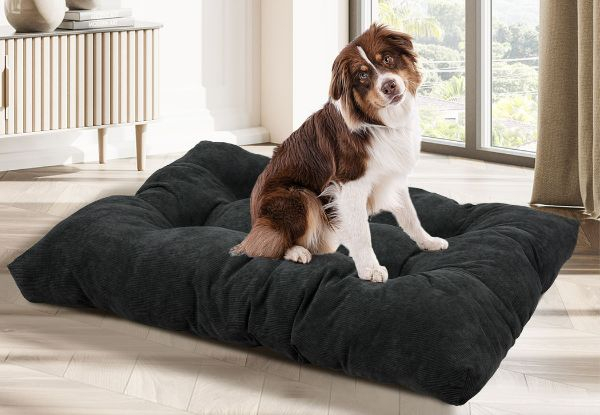 PaWz Pet Soft Warm Velvet Mattress Cushion Pillow Mat - Three Sizes Available