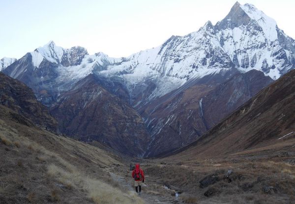 13-Day Annapurna Circuit Trek for One Person incl. Accommodation, Main Meal During the Trek, Transfers & Much More