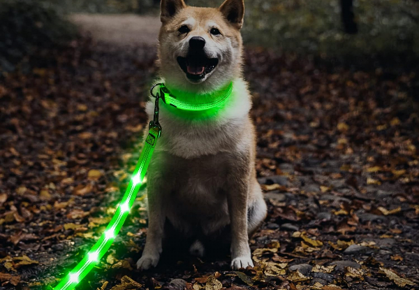 USB Rechargeable LED Dog Leash - Available in Three Colours & Option for Two