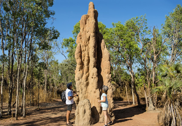 Per-Person, Twin Share Three-Night Darwin Experience incl Airport Transfers, Accommodation at Argus Hotel, Darwin City Sights and Kakadu National Park Explorer Pass - Options for Solo Traveller & Children