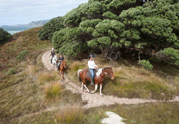 One-Hour Scenic Horse Trek Along Pakiri Beach- Option for Two People