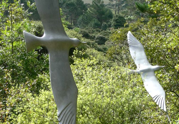 Adult Entry to Kaipara Coast Sculpture Gardens - Option for Child, Senior Citizen or Family Pass