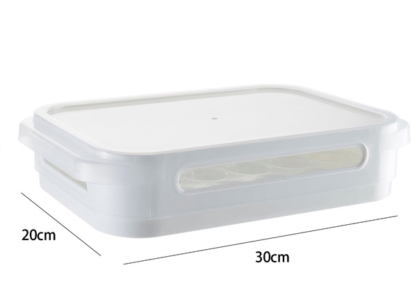 Multi-Functional Fridge Tray with Lid - Option for Two
