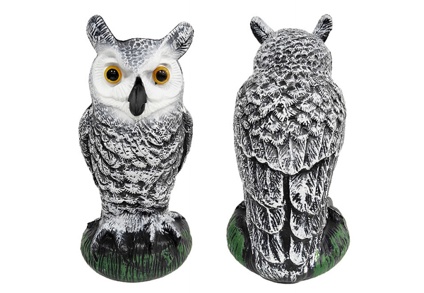 Large Garden Owl Decoy - Available in Two Colours