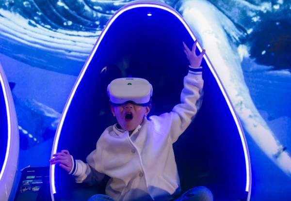 Adult General Admission to Kelly Tarltons incl. New Virtual Reality Experience & Digi Photo Pass with 8 Digital Photos - Option for Child - No Booking Required