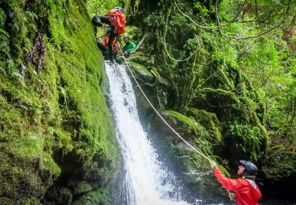 Ultimate Half-Day Little Akatarawa Canyoning Trip incl. Lunch & Photos