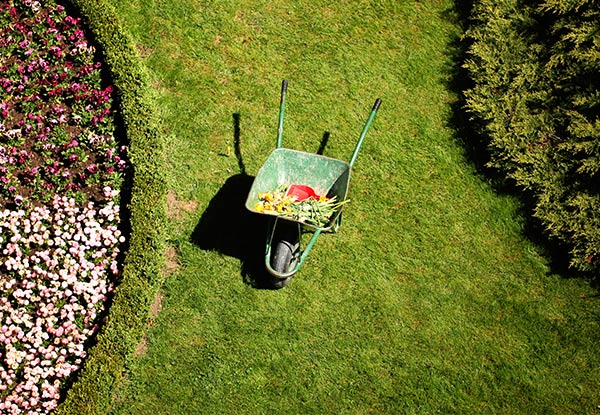 $59 for Two Hours of Gardening Services, $79 for Three Hours or $110 for Four Hours