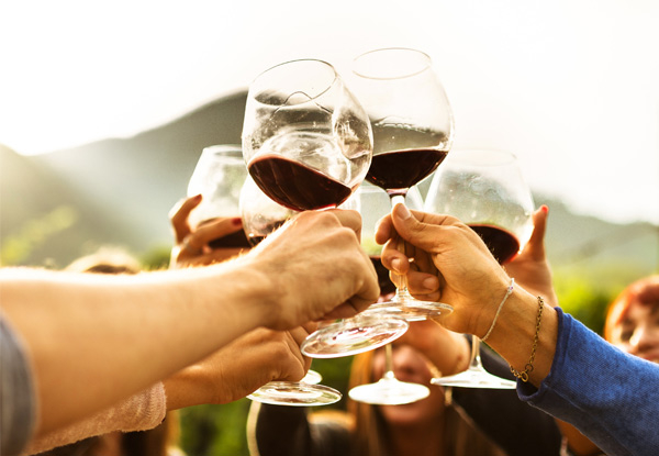 Five-Hour Auckland Wine Tour & Tastings for One Person incl. Three-Course Lunch & Drink - Options for Two or Four People