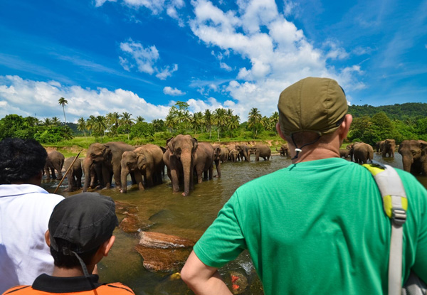 Discover Sri Lanka 13 Day Tour for Two People incl. Accommodation, Breakfasts, Transportation, Entrance Fees with English Speaking Tour Guide & More