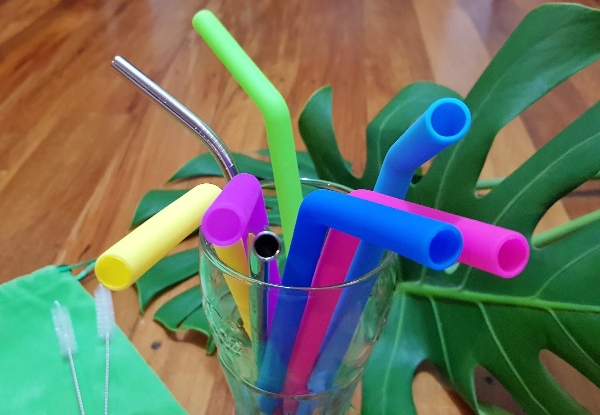Reusable Straw Set incl. Bag & Brush Cleaner with Free Urban Delivery