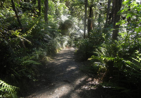 Two-Night Lake Maraetai Stay for Two People incl. Breakfast, WiFi & eBike Half Day Hire