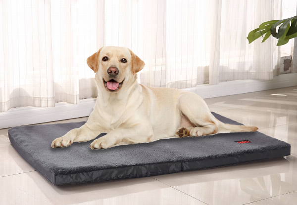 PaWz Pet Foldable Cushion Bed - Available in Two Colours & Four Sizes